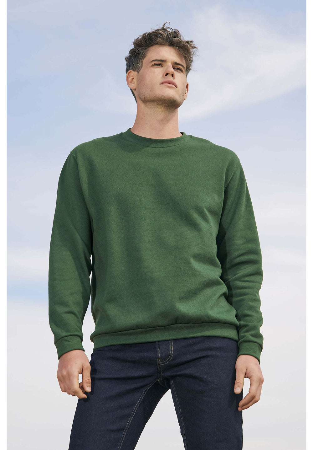Sweatshirt Spider