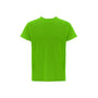 Verde Lima